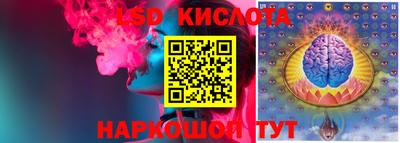 PSILOCYBIN Кунгур