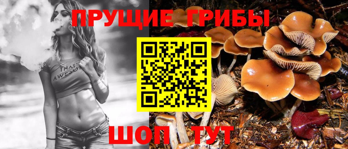 Мефедрон кристаллы  ТГК  Экстази  Вход с VPN  Зеленогорск  ГАШИШ  COCAIN 