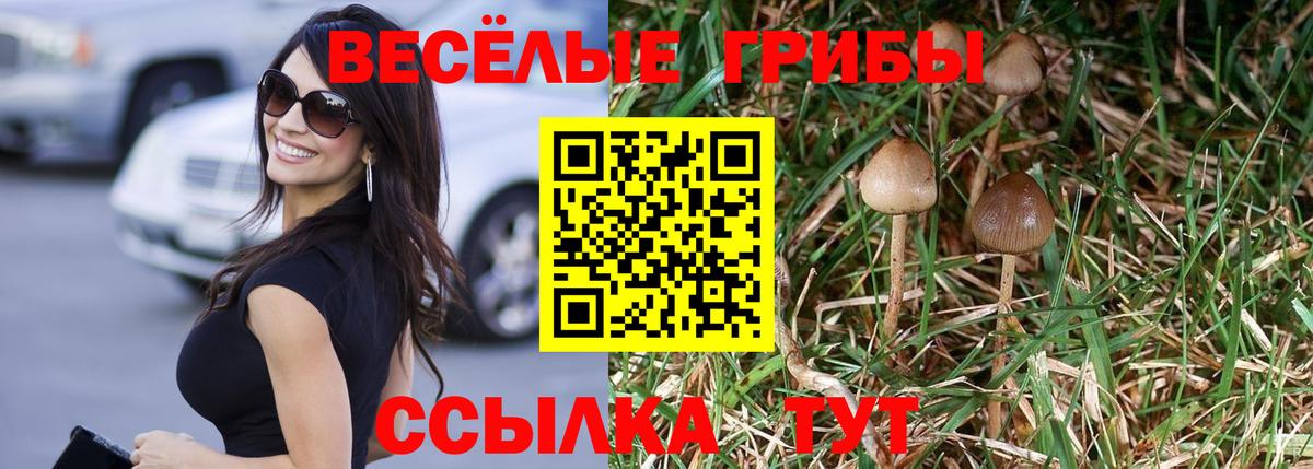 Галлюциногенные грибы Psilocybine cubensis  Галлюциногенные грибы Psilocybine cubensis  Вход с VPN  Зеленогорск 